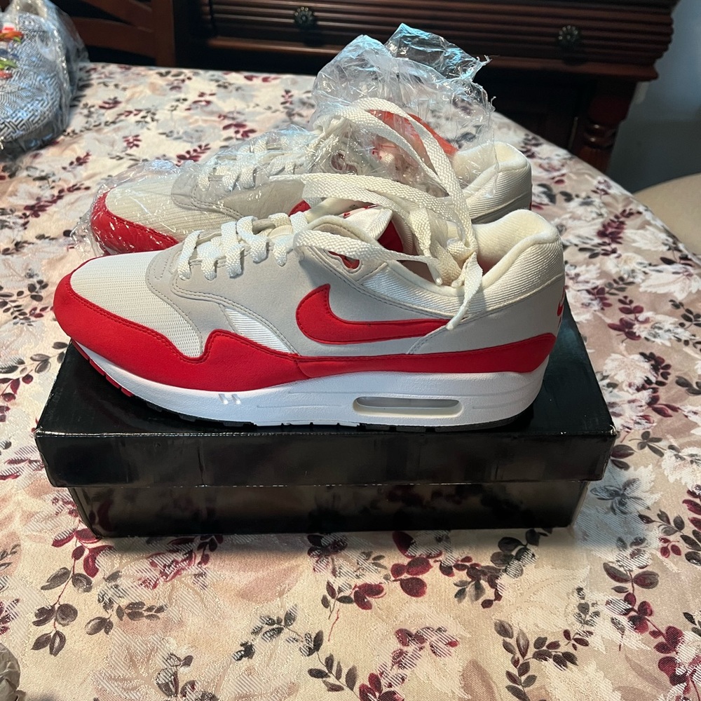 Nike Air Max tennis shoe
